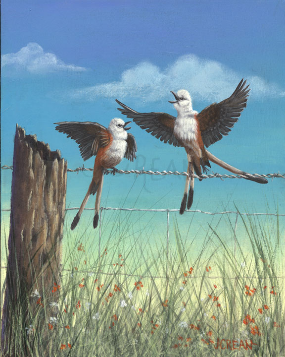 Barbwire Duet