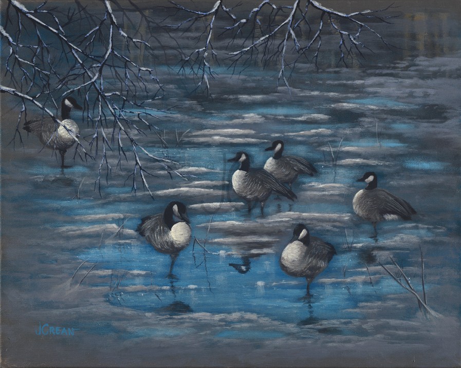 Blue Ice Cold Feet