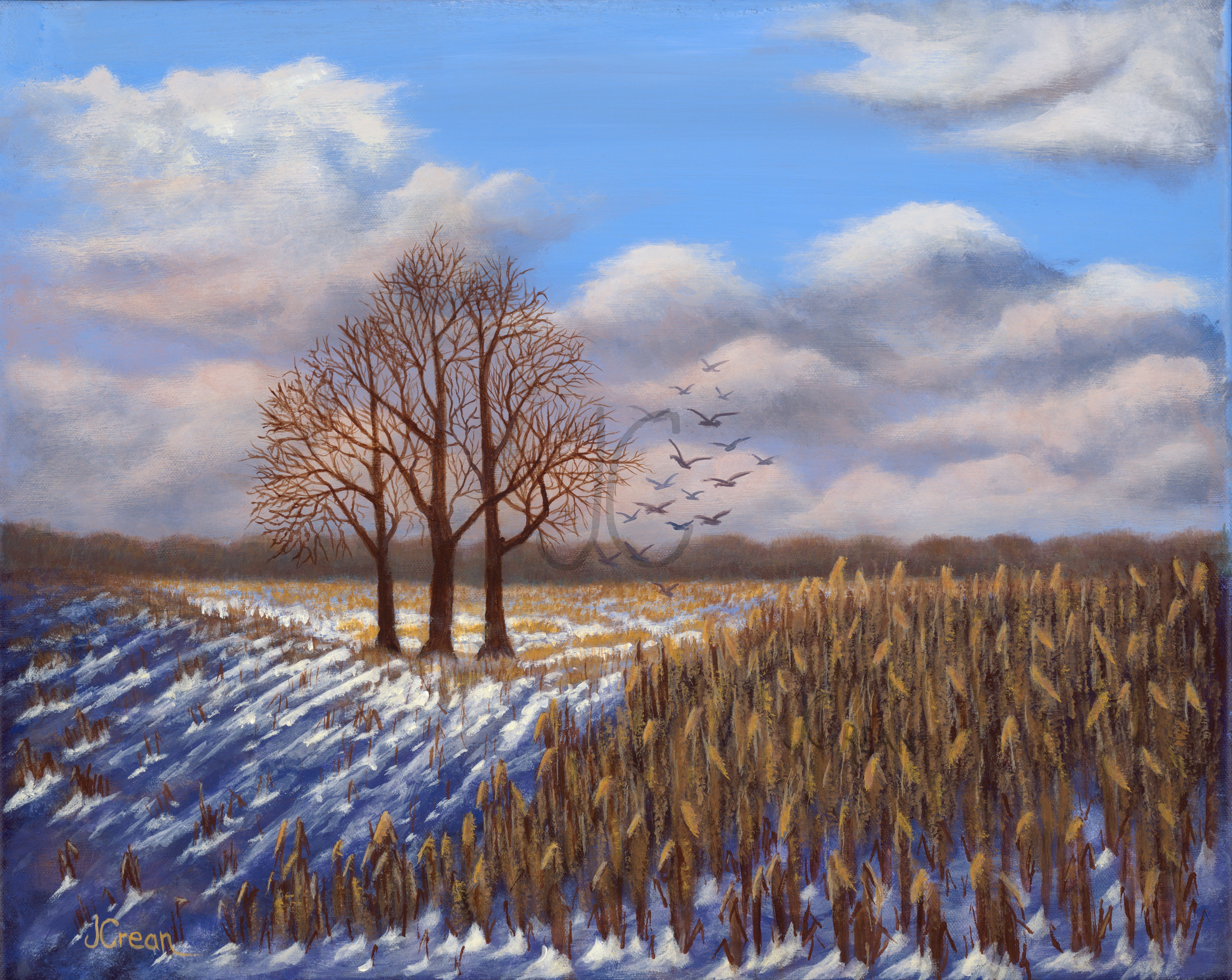 Cornfield Sentinel