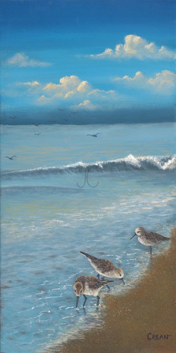 Sandpiper Summer